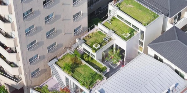 創(chuàng)造‘綠色’，東京層疊花園宅 / MAMM DESIGN